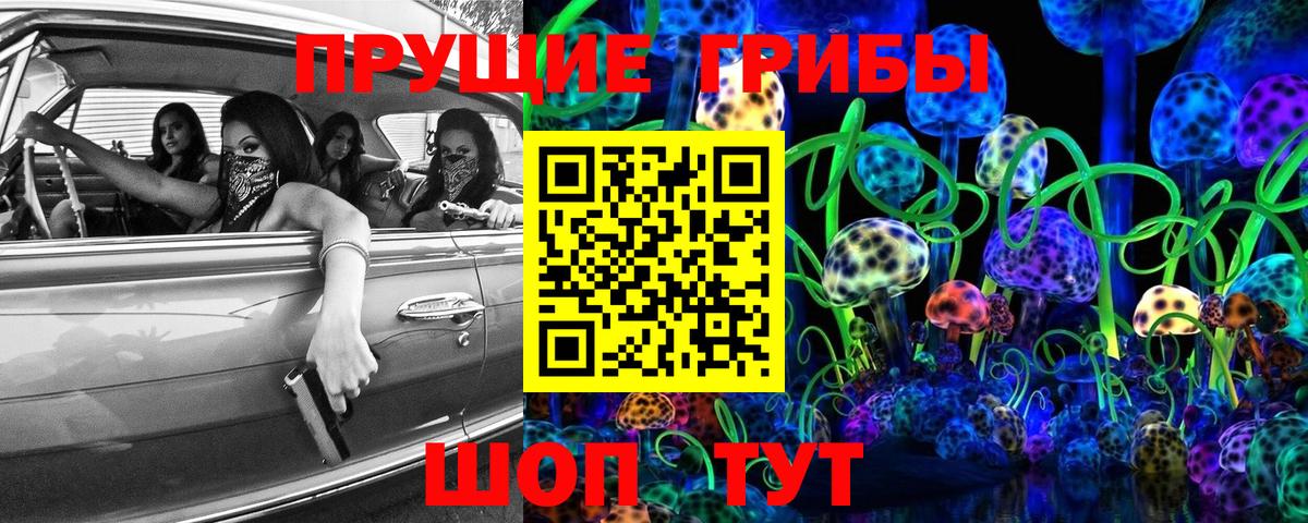 Электросталь  Псилоцибиновые грибы GOLDEN TEACHER  Вход с VPN  Псилоцибиновые грибы мицелий 