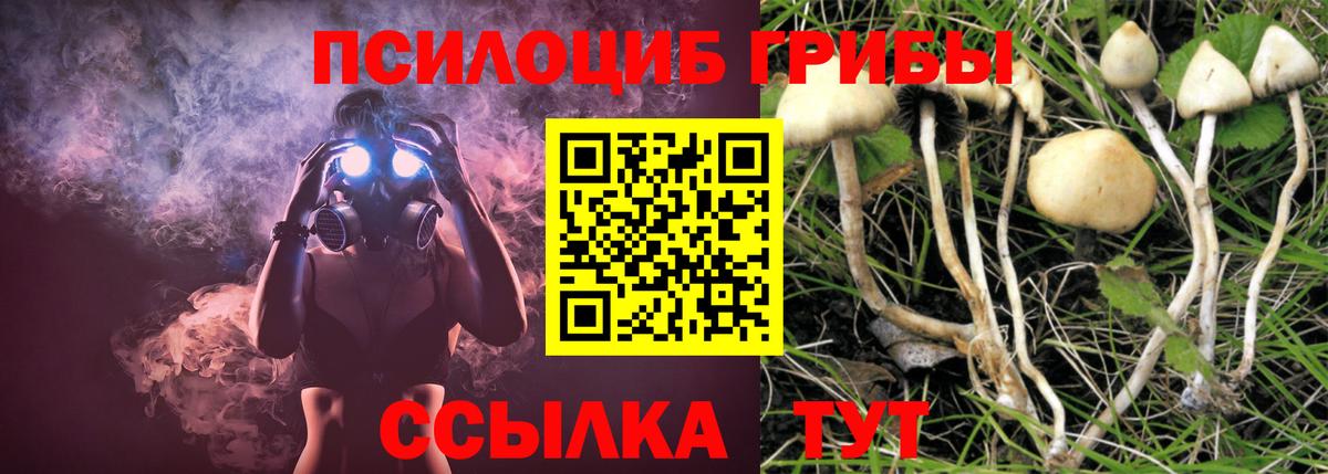 Псилоцибиновые грибы мухоморы Электросталь
